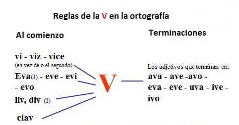 Reglas De La V En La Ortografía + 62 Ejemplos ⭐ - Escuela De Letras