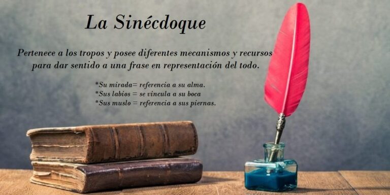 La Sinécdoque. Definición y aspectos ⭐ Escuela de Letras